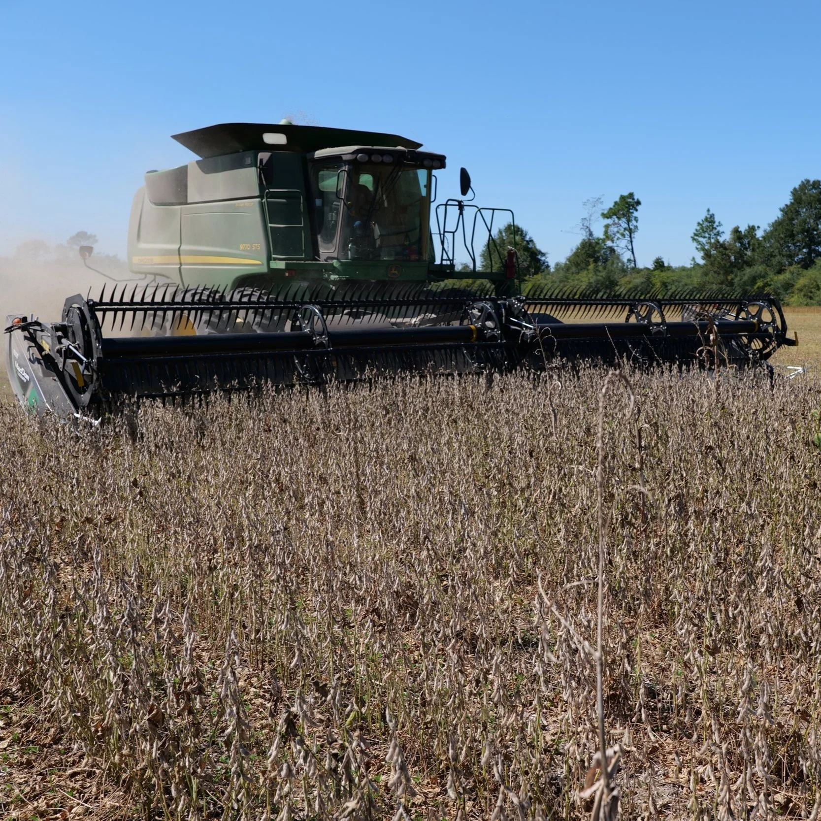 After Challenging Growing Season, Louisiana Farmers Now Face Disappointment at Harvest