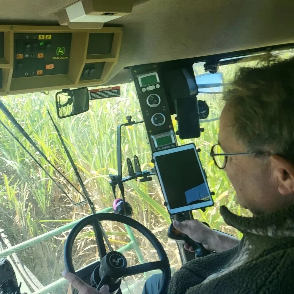 A Year After Hurricane Ida, This Year's Sugarcane Harvest is Looking Sweet in Terrebonne, Lafourche