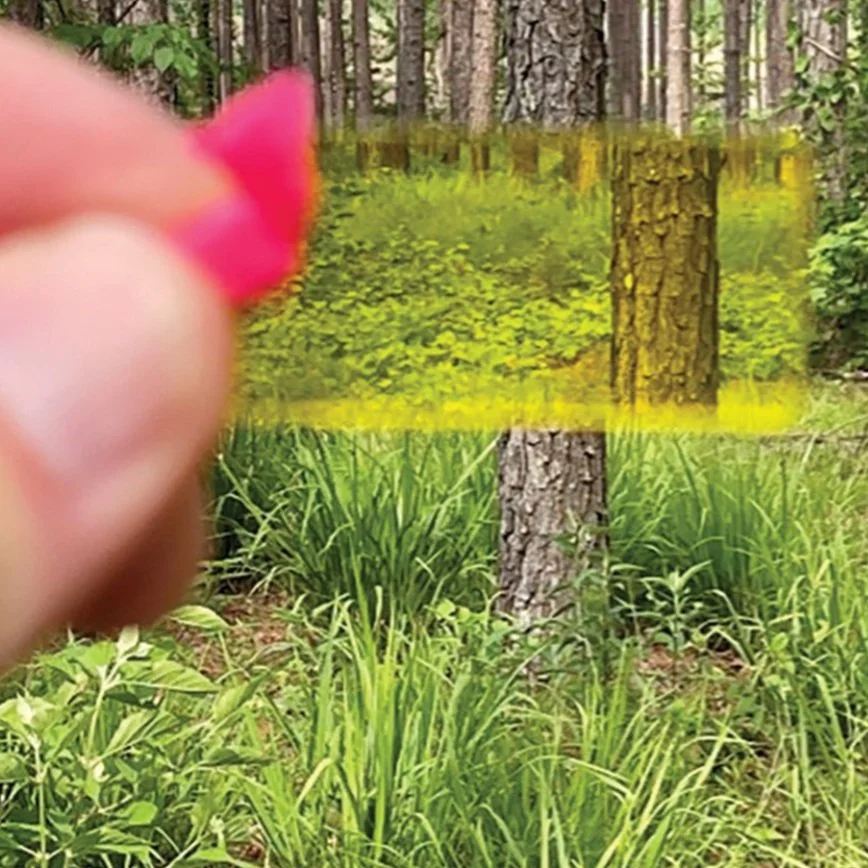 BA — What in the World is Basal Area?