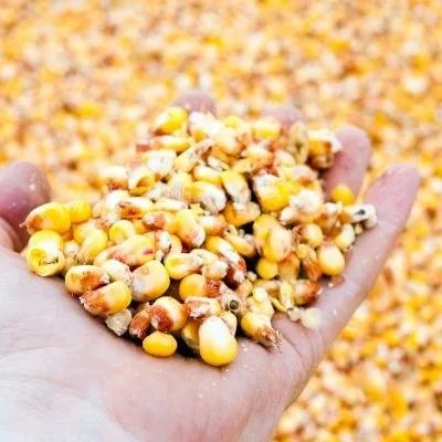 Stress Test Your Crop Margins Now to Avoid Stress This Season