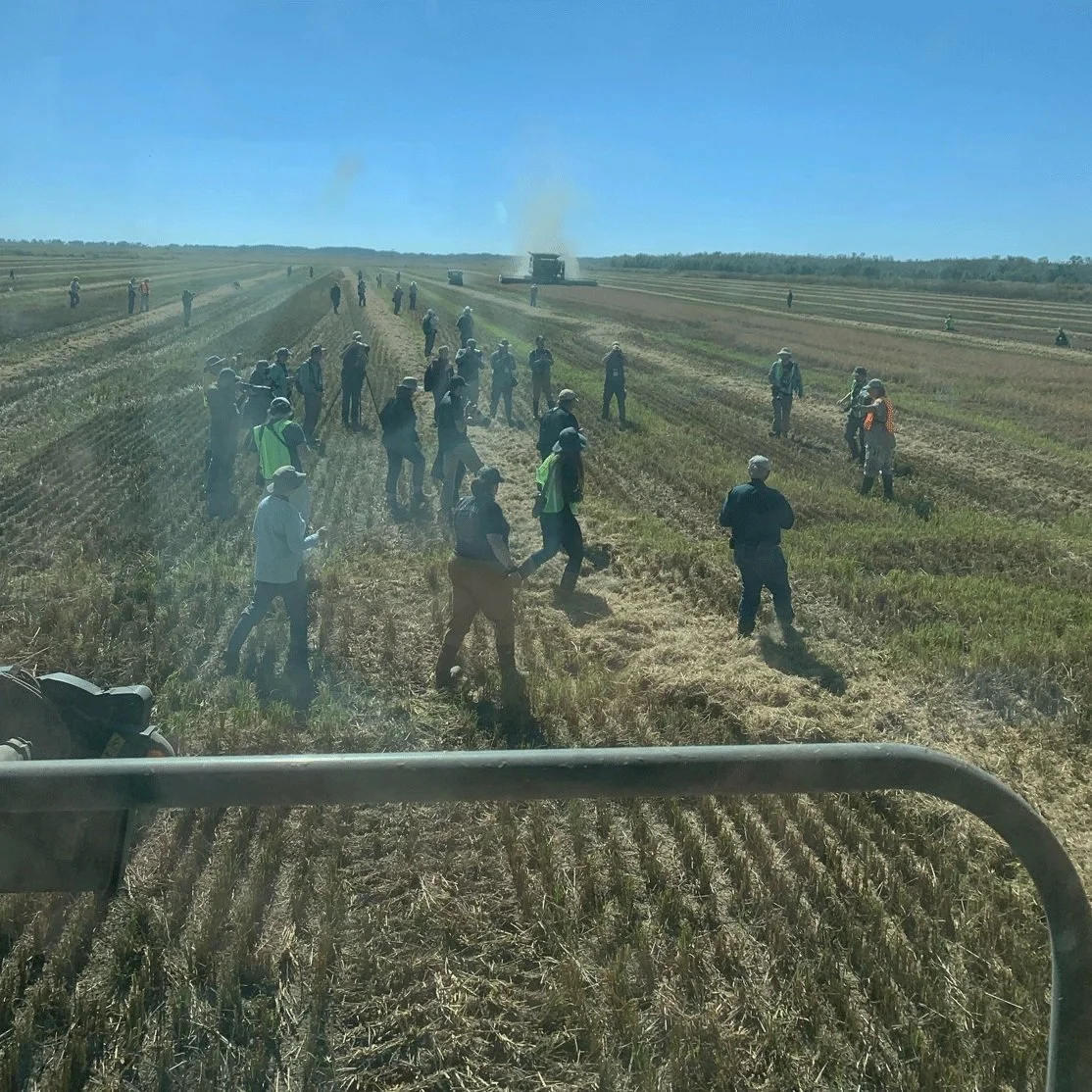 Birders Flock to Louisiana for Annual Yellow Rails &amp; Rice Festival