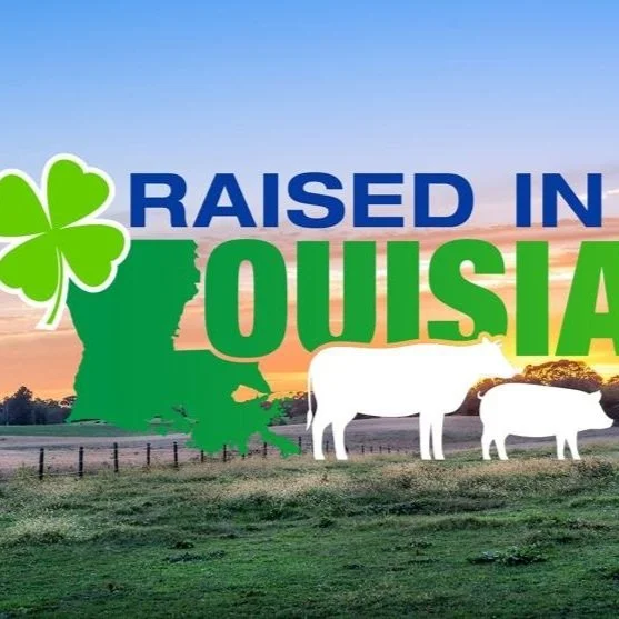 Raised in Louisiana Special Shines the Spotlight on Students’ Hard Work, Dedication to Livestock