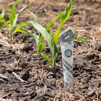 Take Our Poll: How Much Have Your Corn Production Costs Increased In 2023?