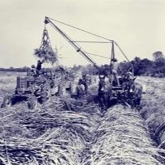 State Of Success: Louisiana