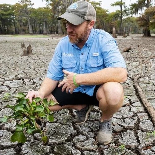 Atchafalaya Basin Water Level Reached Historic Lows Last Month. Here's Why