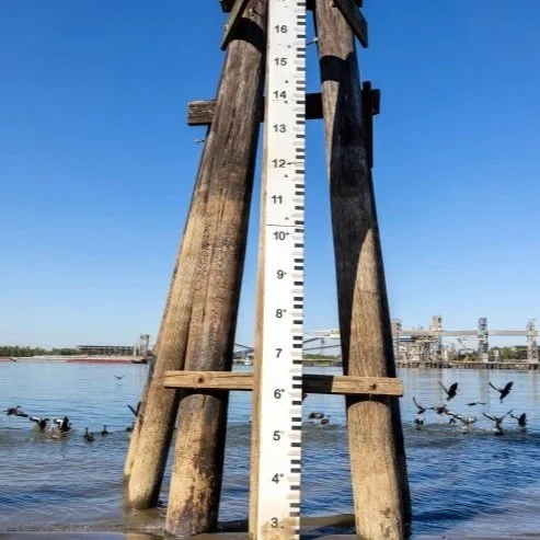 Drought, Flooding Negatively Affected Louisiana Agricultural Crops