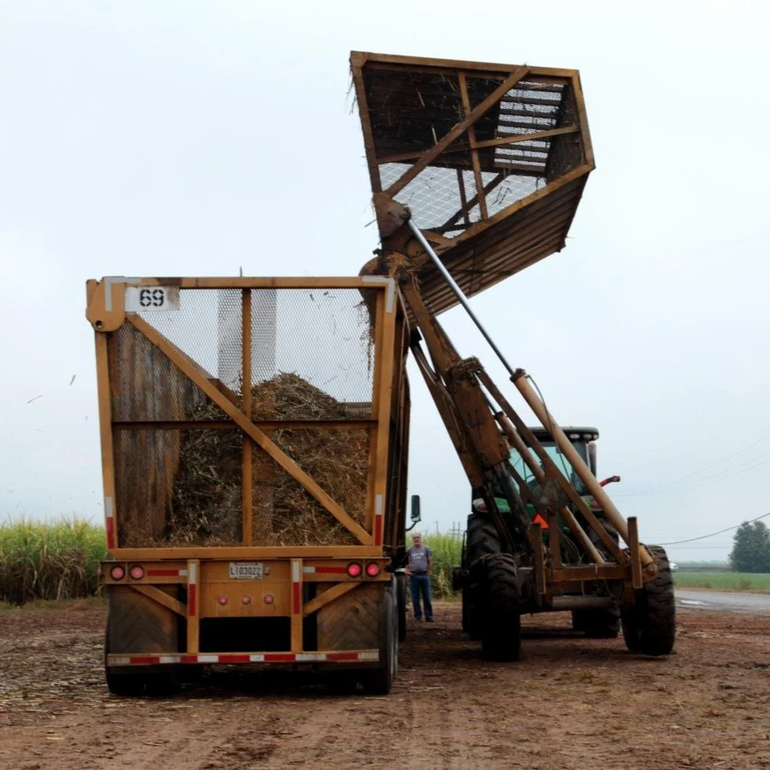 Cane Farmers Grateful for Thanksgiving Work