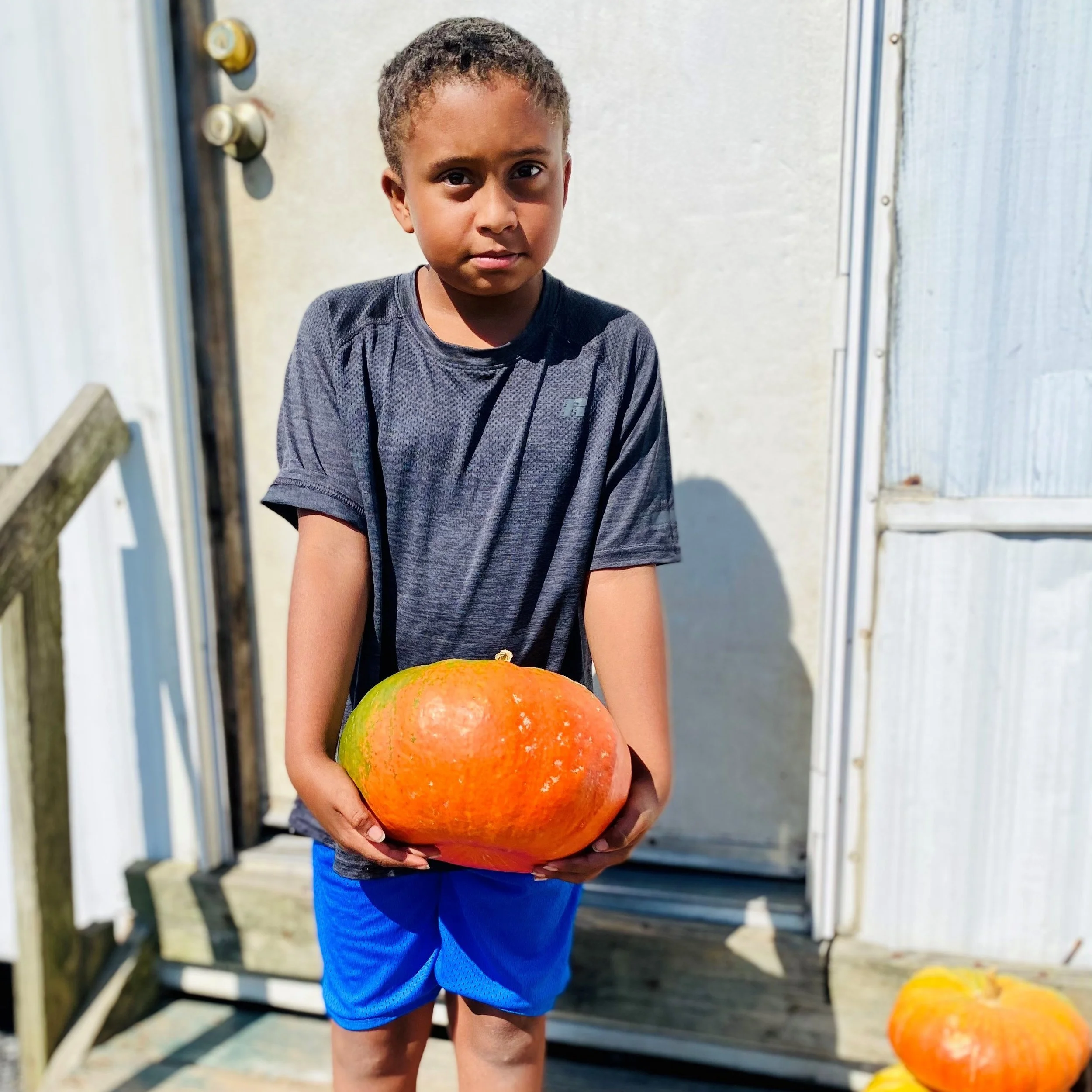 Raising Pumpkins And Future Farmers