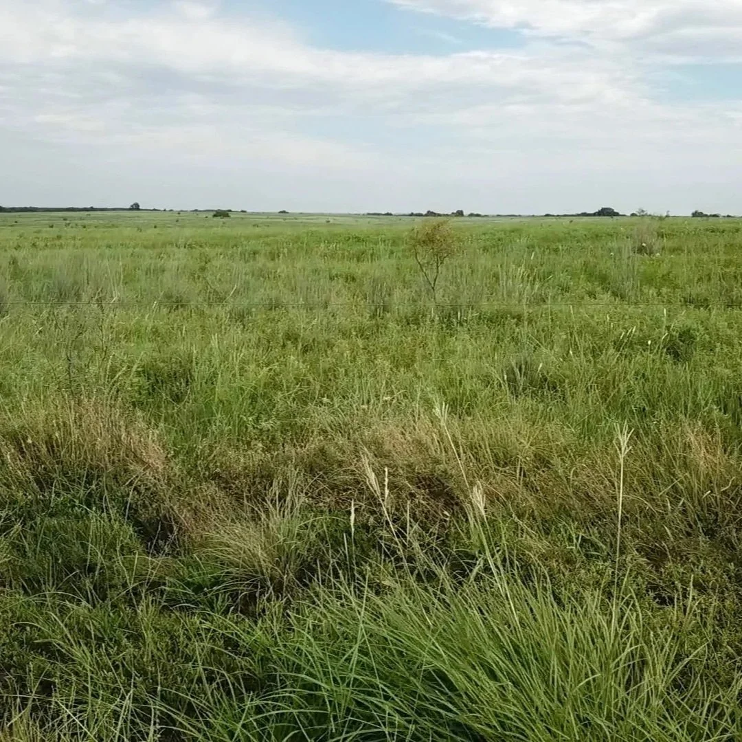 Louisiana Forage Conference
