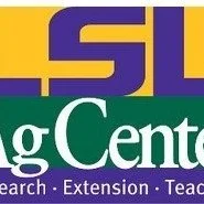 LSU AgCenter Research Is Critical in Combating the Effects of Invasive Species