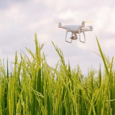 Drones in Agriculture Research Propels Multistate Award