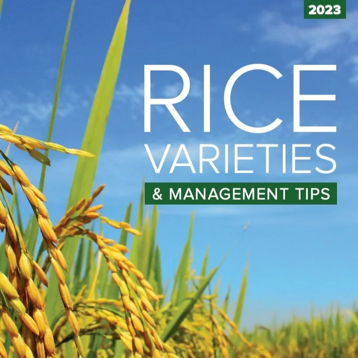2023 Rice Varieties &amp; Management Tips