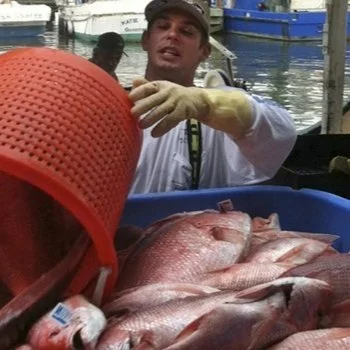 Higher Red Snapper Catch Limits for 2023 Gulf of Mexico