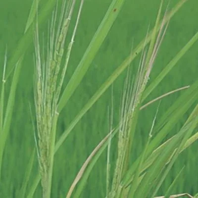 Provisia Working Group Shares Best Management Practices