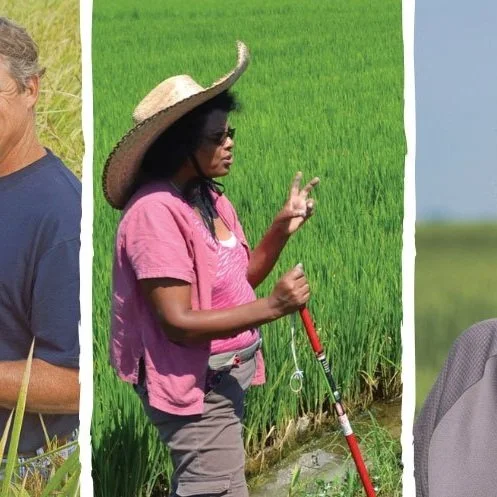 Rice Industry Recognizes Industry Leaders
