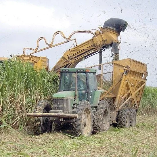 Sugar Cane Industry Pushing Through Tough Weather Season