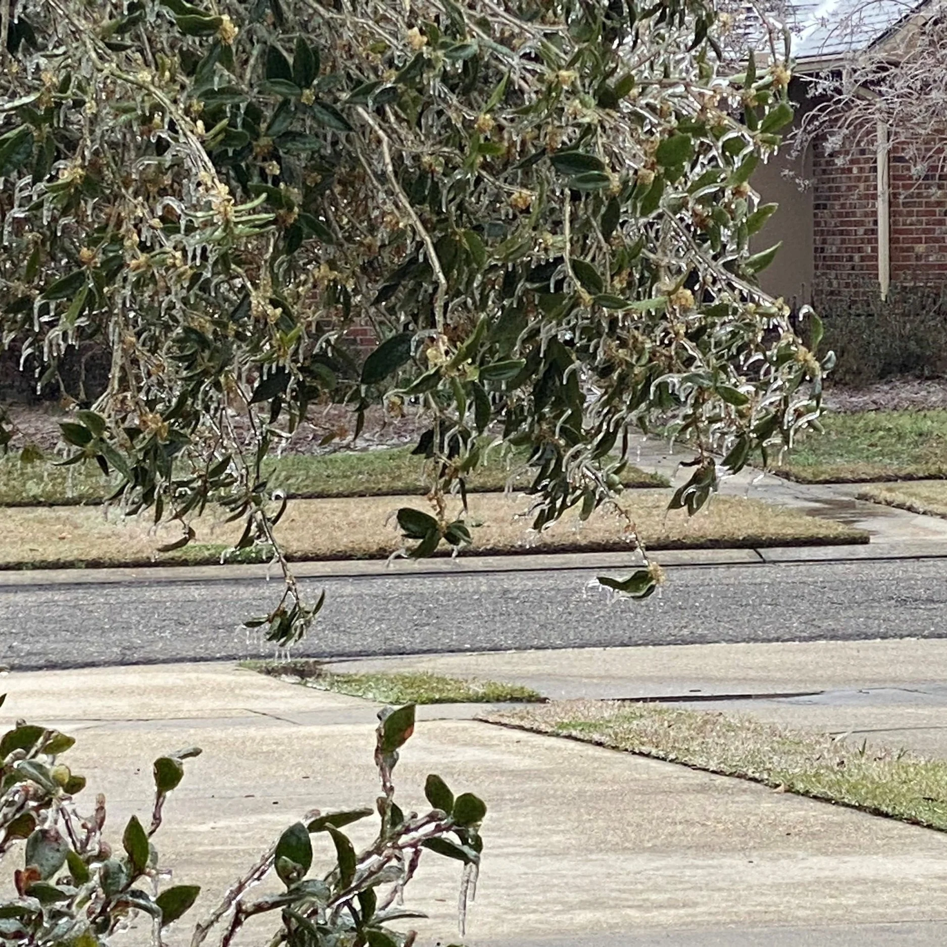 Take Precautions for Coming Arctic Blast