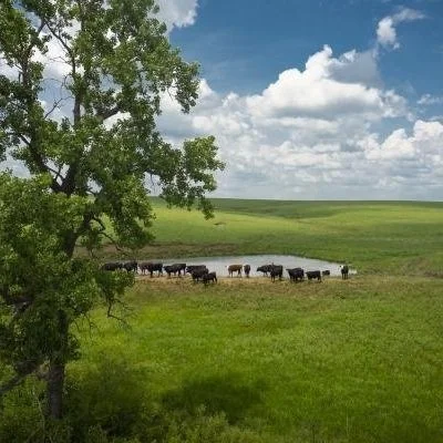 Inflation Reduction Act Provides Additional $19.5B for ‘Green’ Ag