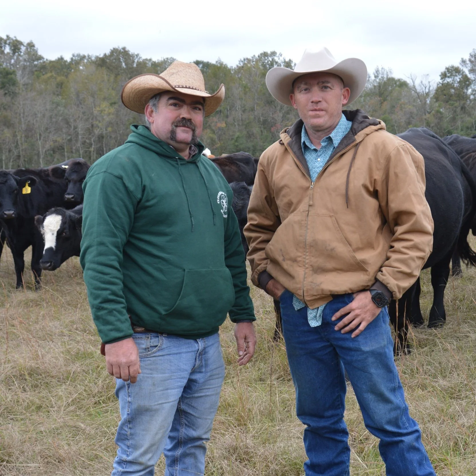 Experienced Producers Learn From Master Cattleman Course