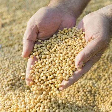 LSU Research Discovers New Option For cleaning Spray Tanks