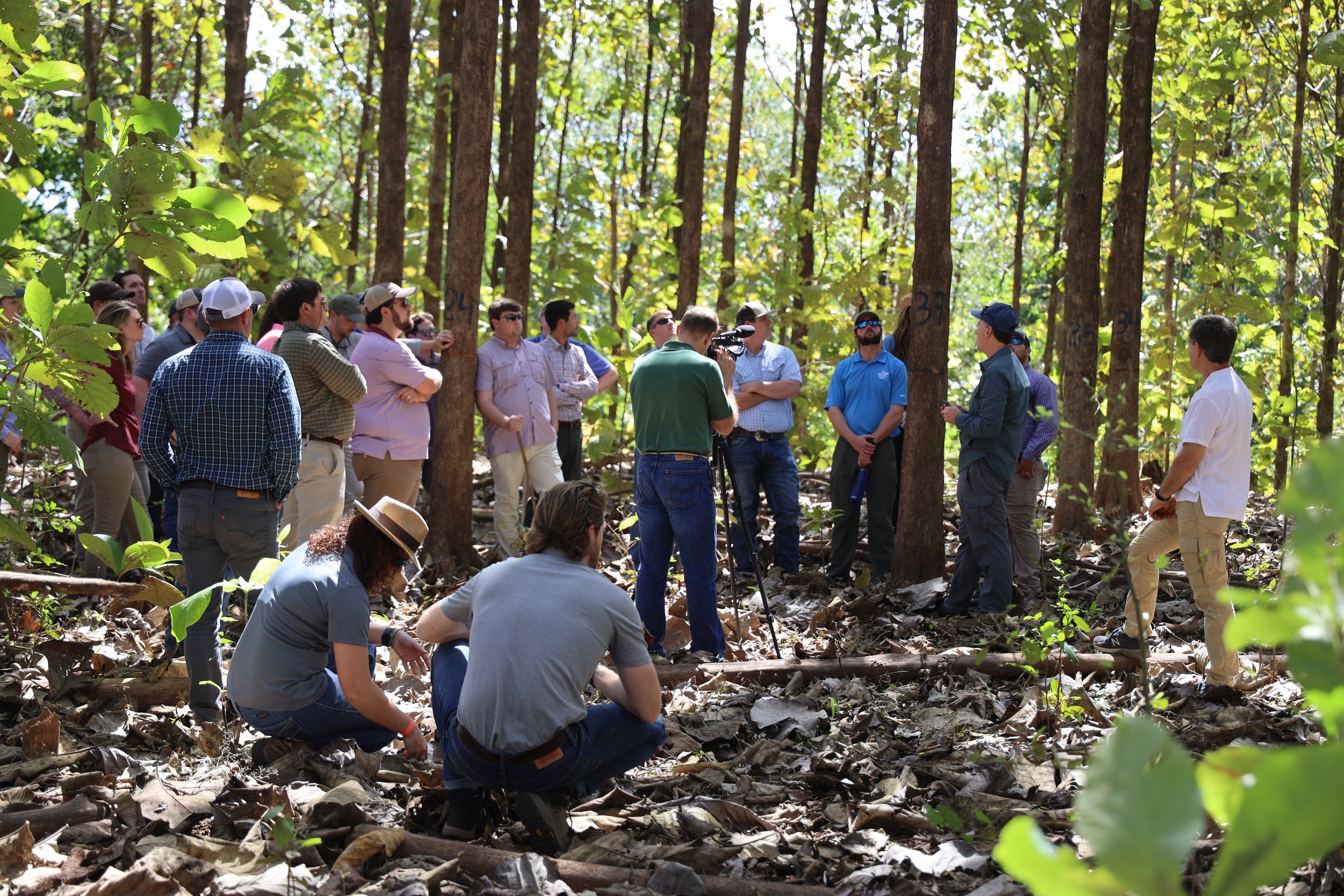  LSU Ag Leadership Class XVII got a tour of a teakwood plantation, led by owner Jeffrey Duda, an American ex-pat who saw an opportunity in Panama.&nbsp; The 2,000 acres here represent a tiny fraction of the teakwood business, but they told the class 