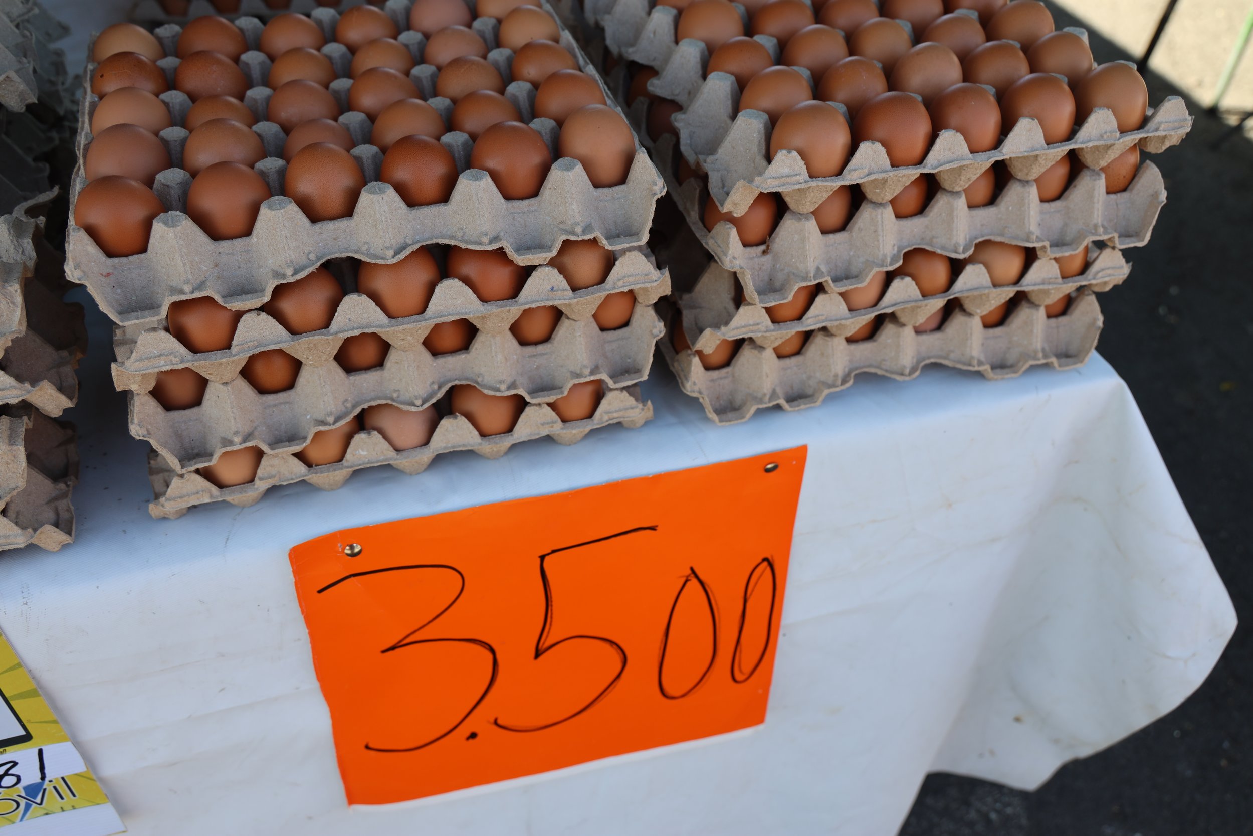  Egg prices in Costa Rica are comparable to those of the U.S., although a bit cheaper here.&nbsp; Each batch of 30 costs a little more than $8.&nbsp; 