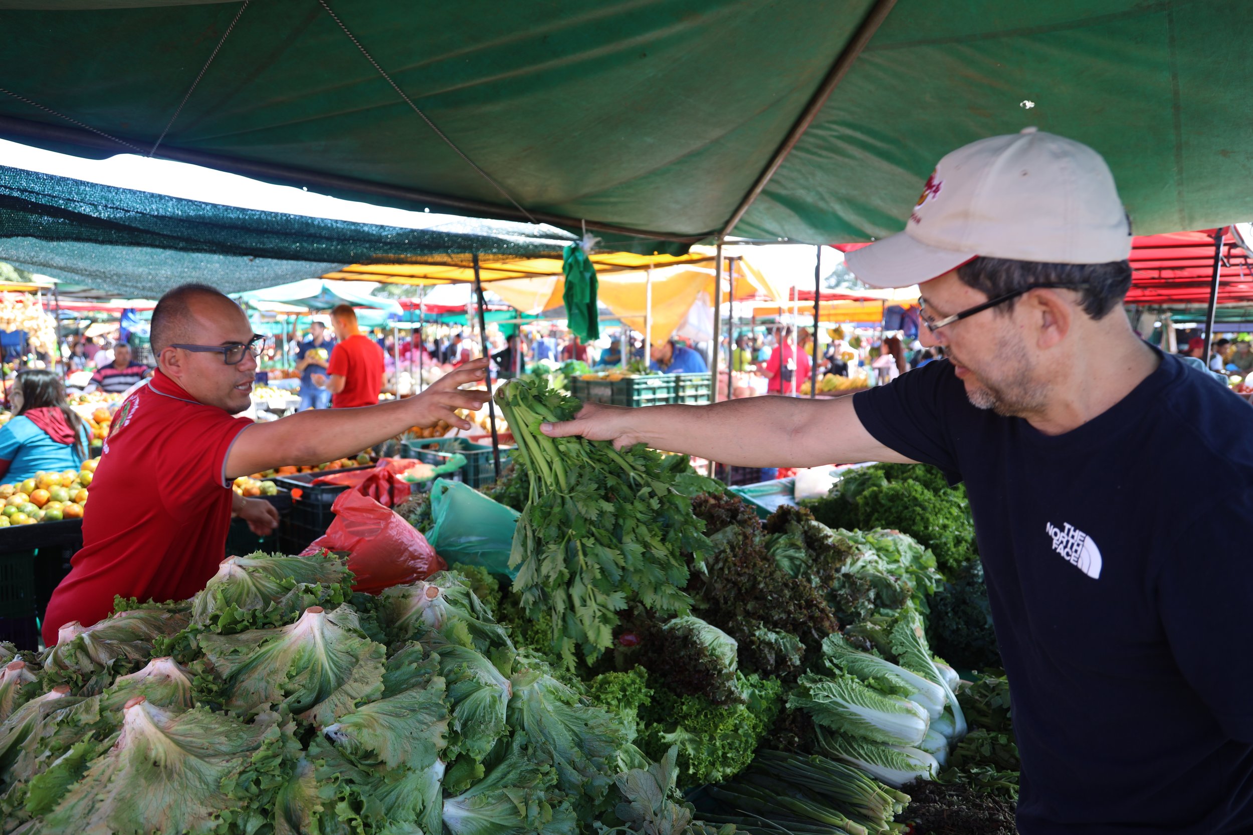  On Saturday, Class XVII took a long bus ride to the airport and a short flight to San Jose, Costa Rica.&nbsp; On Sunday, the class members toured a farmer's markets full of fresh vegetables and a wide variety of fruits, as well as finished emapandas