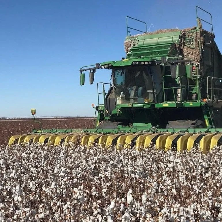 Continued Market Volatility Expected For 2023 Cotton Market