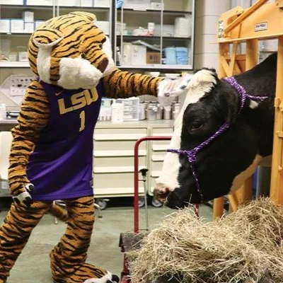  LSU Vet Med Hosts Open House