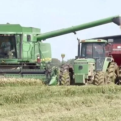 Iraq Buys 88,000 Tons Of US Rice