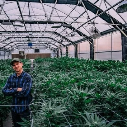 Louisiana Medical Marijuana Producer Doubling Its Cultivation Capacity 