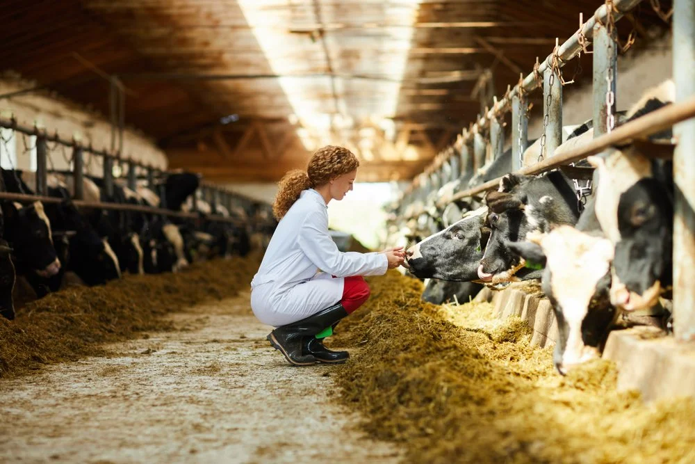 Over-The-Counter Livestock Antibiotics Will Require Prescriptions
