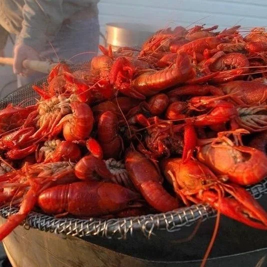 Restaurants Gearing Up For Lent As Crawfish Prices Still Boiling