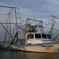 2 Cited By LDWF For Shrimping Violations