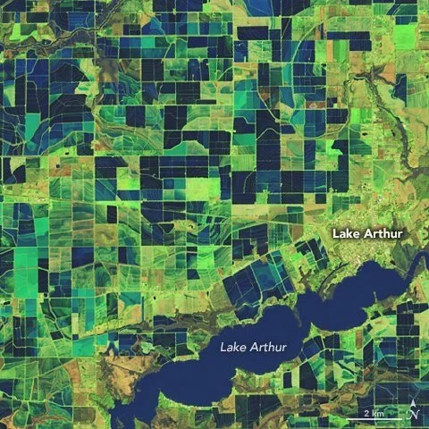 Flooded Rice Fields In Louisiana