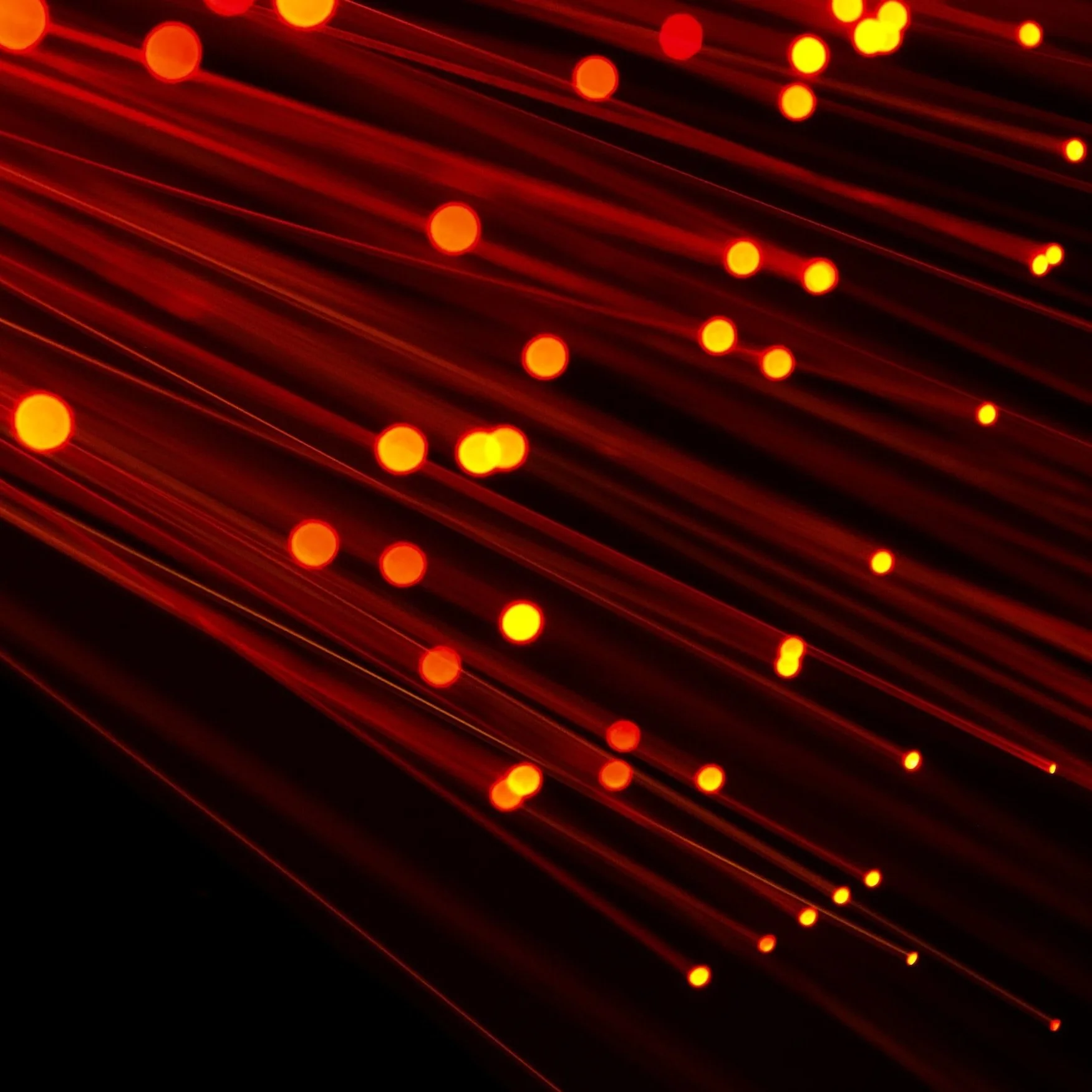 Future of Broadband in Grant Parish Being Laid in Georgetown