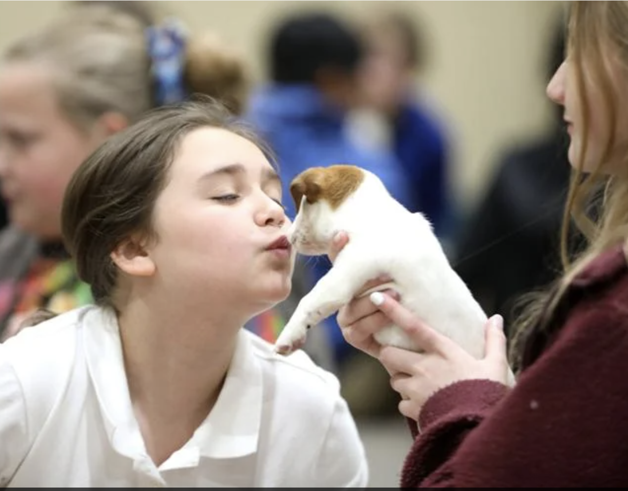 Gray’s Creek Elementary Students Enjoy Visit From Red Barn Farm Tours