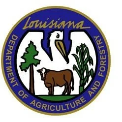 West Carroll Man Arrested for Felony Theft in Morehouse Parish