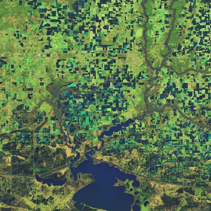 NASA Images Highlight Louisiana’s Flooded Rice Fields