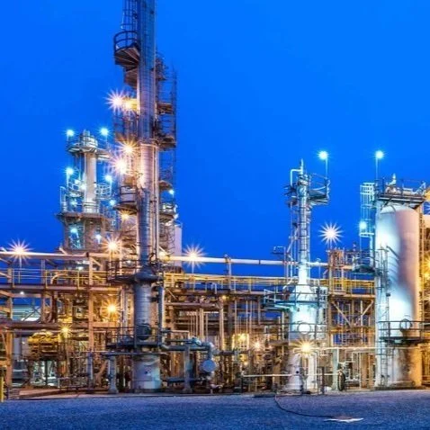 Oil, Ag Partner On New Canola Venture To Fuel bio-Boom