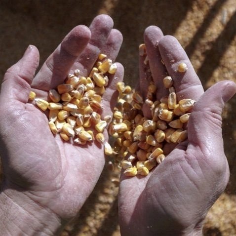 Cargill Stops Russian Grain Exports