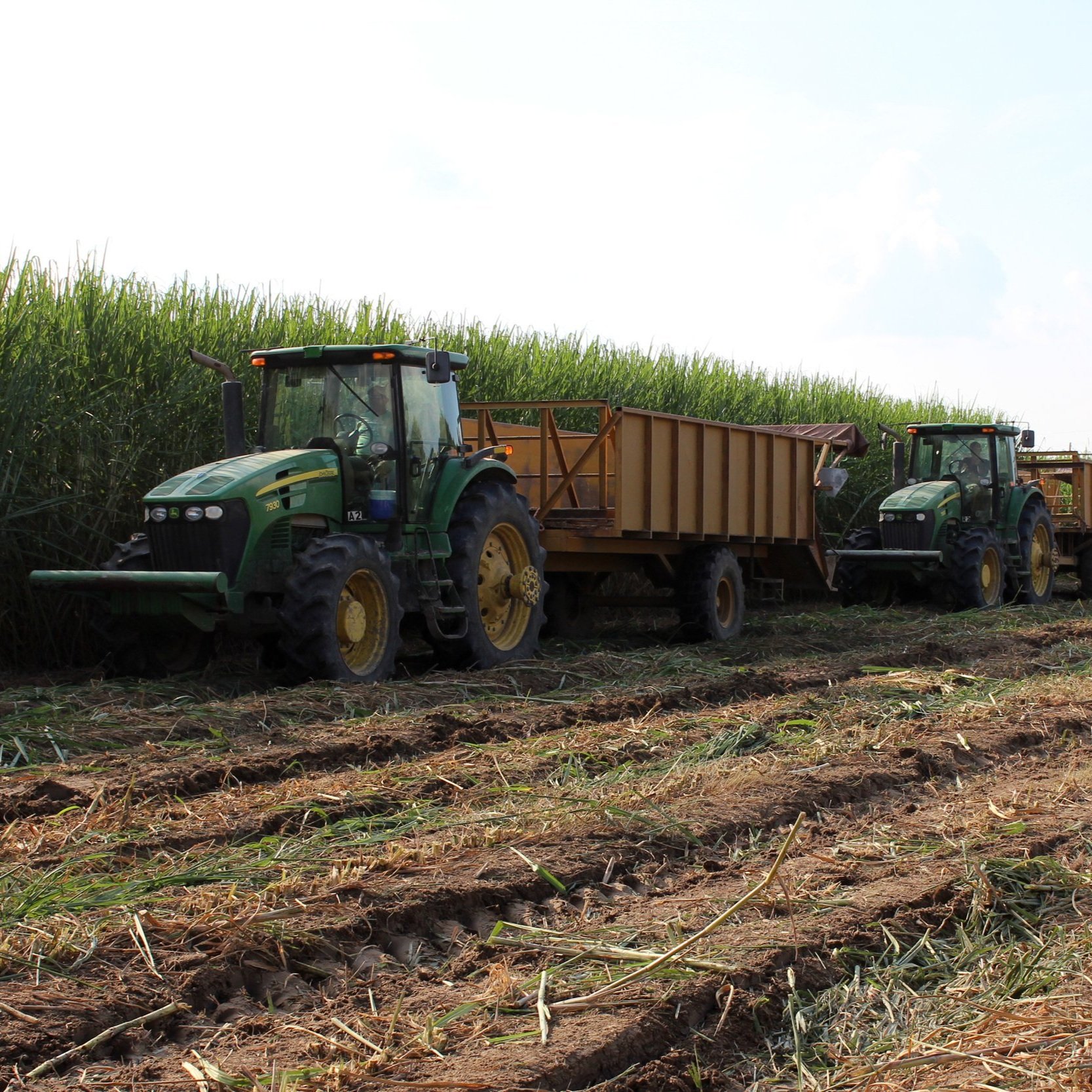 New H-2A Wage Rate Calculations Will Hurt Farmers