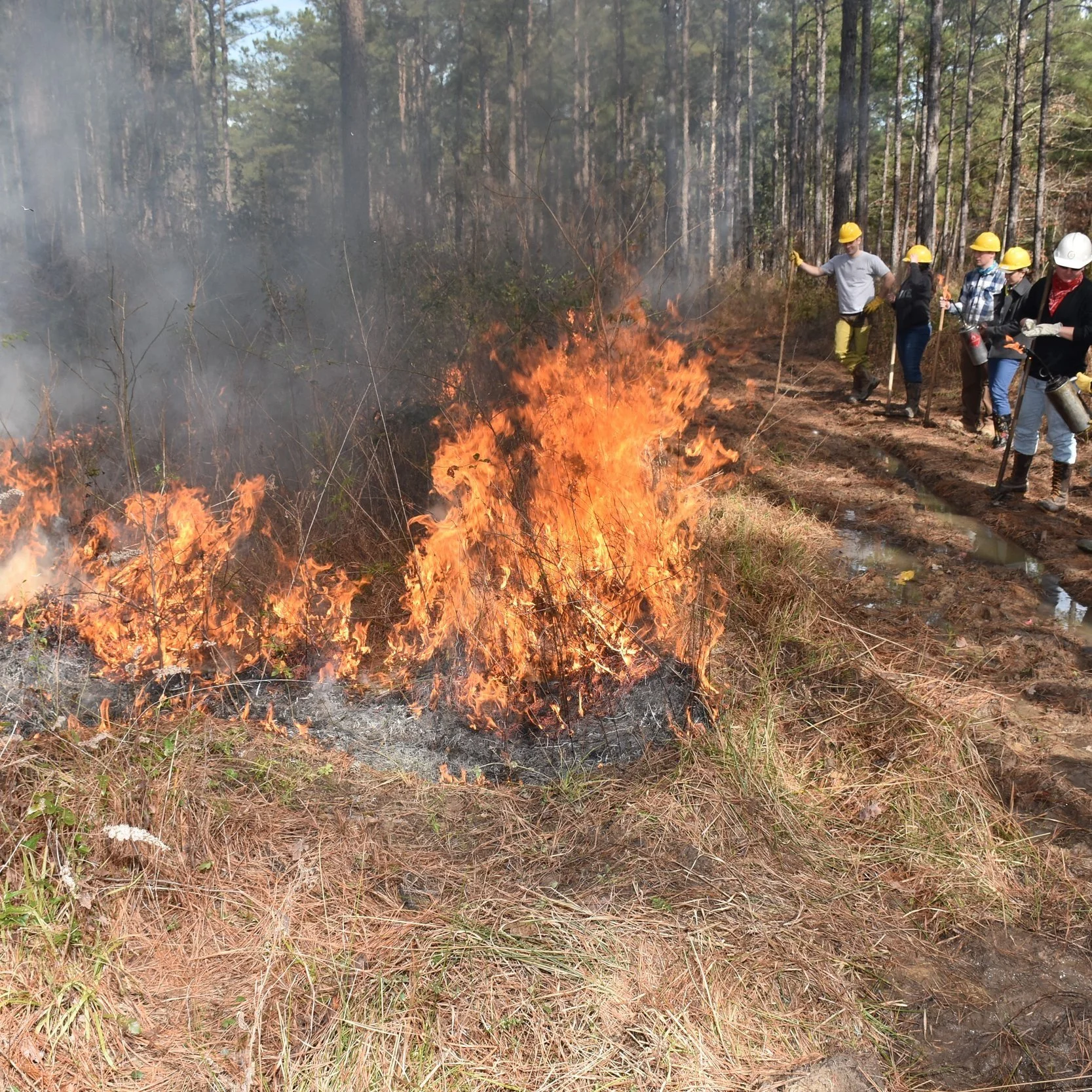 Prescribed Burn Workshop Set For April 19-21 In Clinton