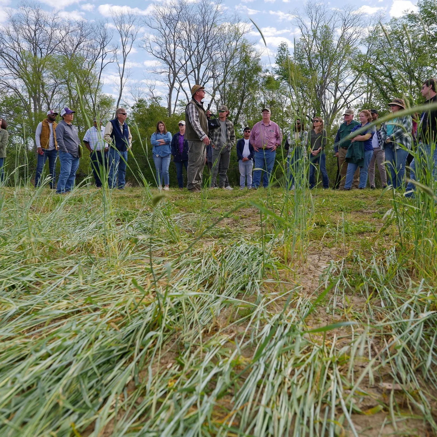 Soil Health Field Day Highlights LSU AgCenter Research
