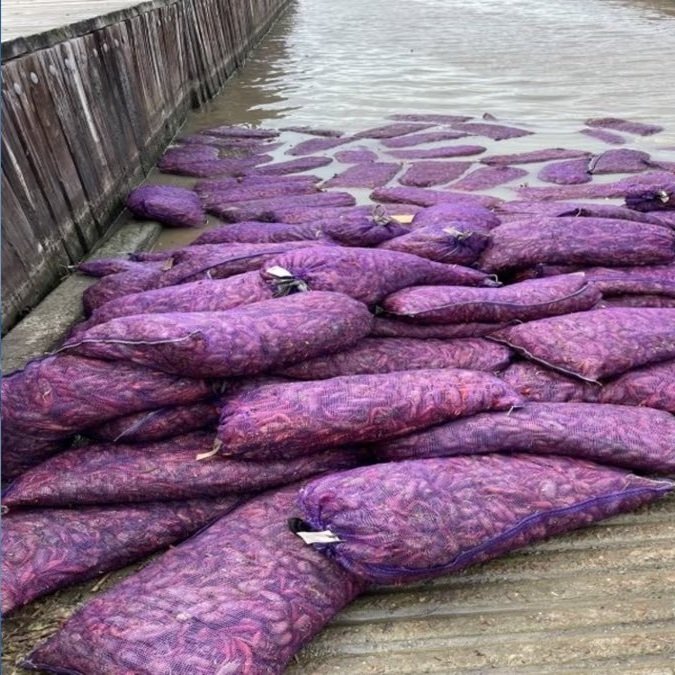 Men Accused of Dumping 80 Sacks of Dead Crawfish at Boat Launch