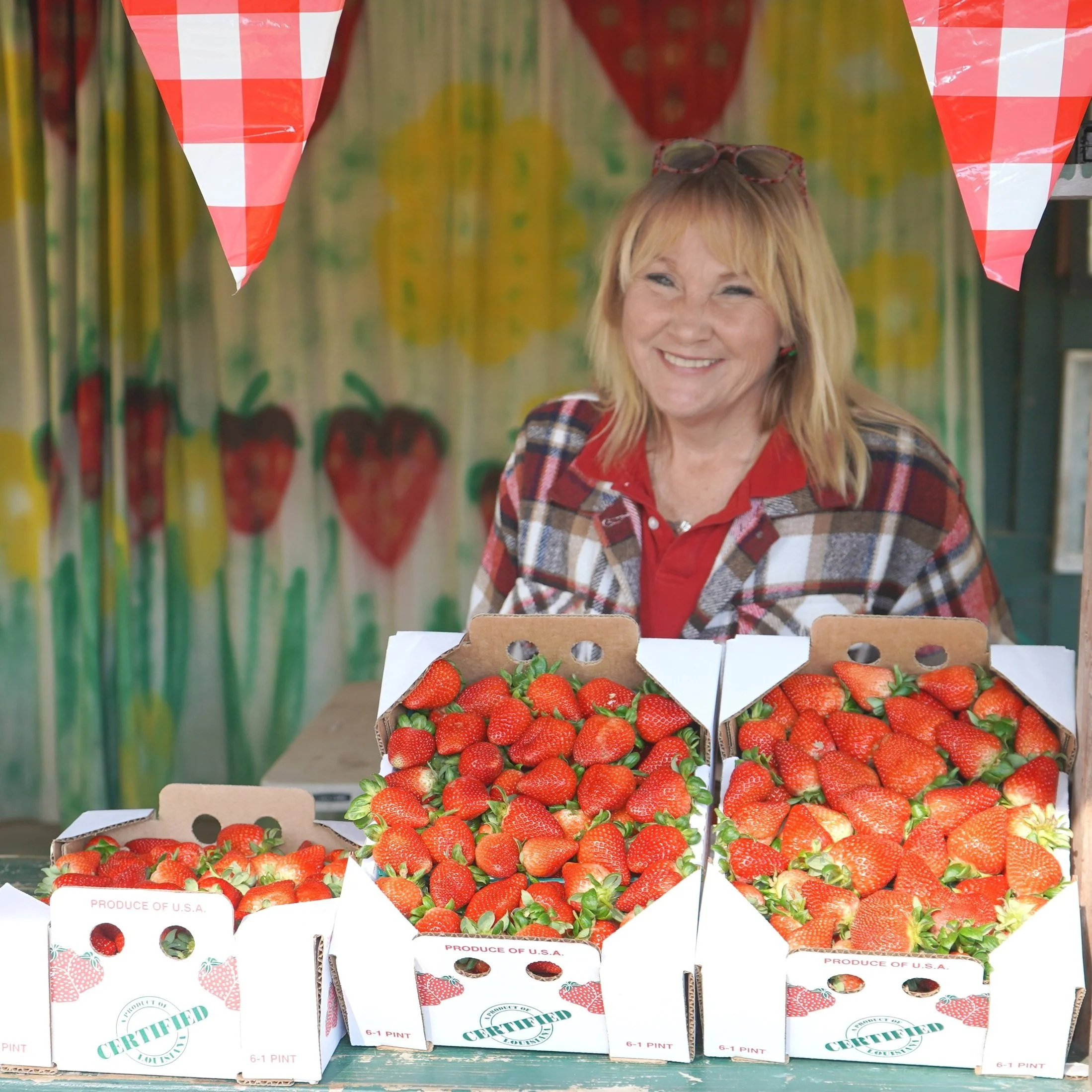 Despite Some Disease Pressure, Strawberries Are Looking Good