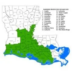 Priority for the American Sugar Cane League