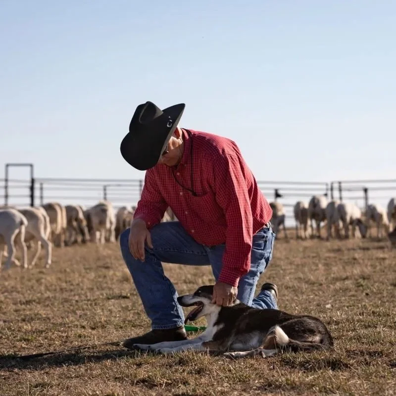 Nominations Open for 2024 Farm Bureau Farm Dog of the Year Contest