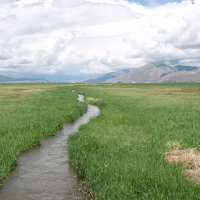 AFBF to President Biden: You Let Farmers Down