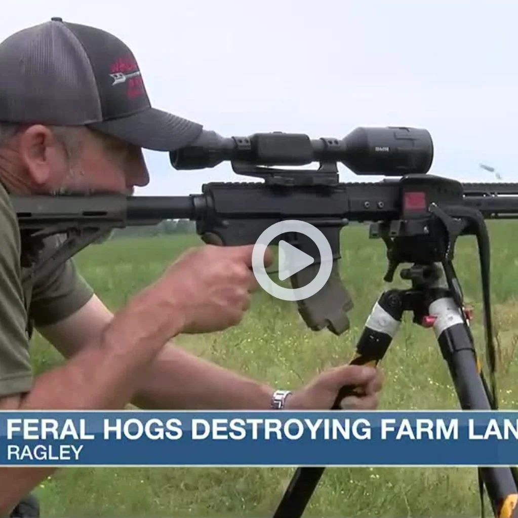 Hunter Helps SWLA Farmers With Feral Hog Outbreak